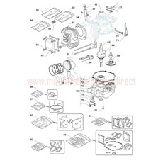 Engine - GGP TRE0801 (2) spare parts