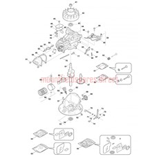 Engine - GGP RV100 (2) spare parts