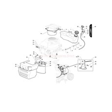 Engine - GGP spare parts