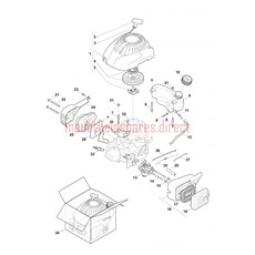 Engine - GGP RSC100 (1) spare parts