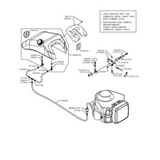 FUEL TANK AND THROTTLE (from sn 672503 to sn 682205 from 2019 to 2019) spare parts