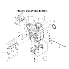 CYLINDER BLOCK (6003-202R-0100) spare parts
