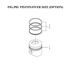 PISTON/OVER SIZE (OPTION)(6003-349L-0100) spare parts