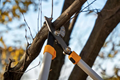 Stiga Garden Anvil Lopper (2H1220001/ST1)