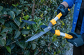 Stiga Garden Hedge Shears (2H1110001/ST1)