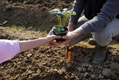 Stiga Garden Transplanter Trowel (2H1410001/ST1)