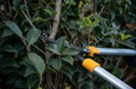 Stiga Garden Bypass Lopper (2H1210001/ST1)