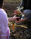 Stiga Garden Transplanter Trowel (2H1410001/ST1)