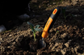Stiga Garden Transplanter Trowel (2H1410001/ST1)