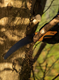 Stiga Garden Folding Pruning Saw (2H1310001/ST1)