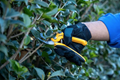 Stiga Garden Bypass Pruning Shears (2H1030001/ST1)