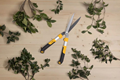 Stiga Garden Hedge Shears (2H1110001/ST1)